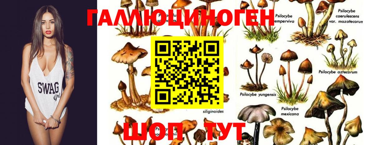 Добрянка  Галлюциногенные грибы прущие грибы  Вход с VPN  Псилоцибиновые грибы Cubensis 