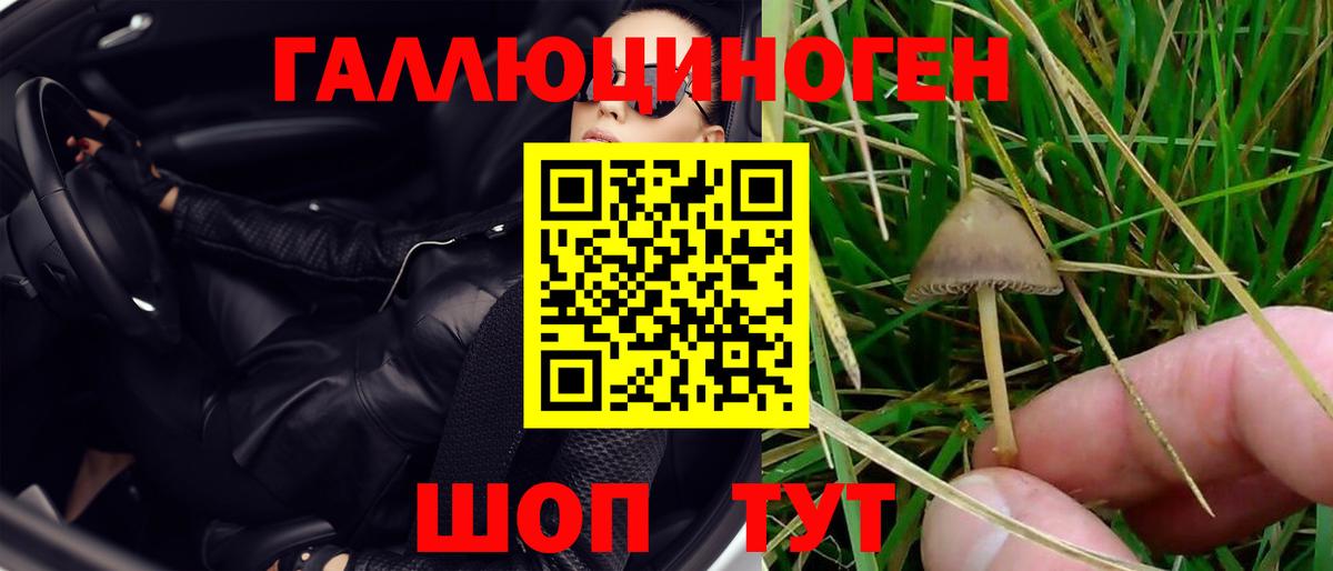 Галлюциногенные грибы ЛСД Добрянка