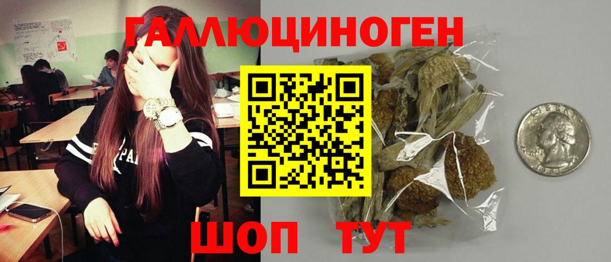НБОМе Добрянка